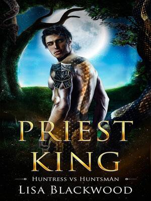 cover image of Priest King